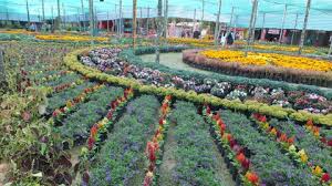 Flower Garden Visit